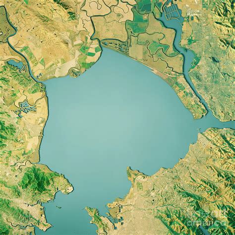 San Pablo Bay 3d Render Topographic Map Color Digital Art By Frank