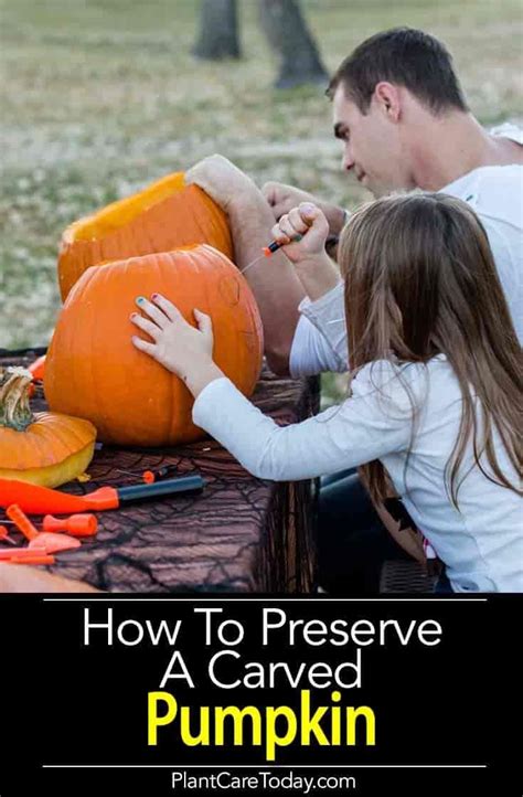 How To Preserve A Carved Pumpkin From Rotting 7 Ways Outdoor