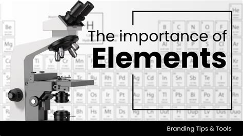 The Importance of Brand Elements | Font & Swatch