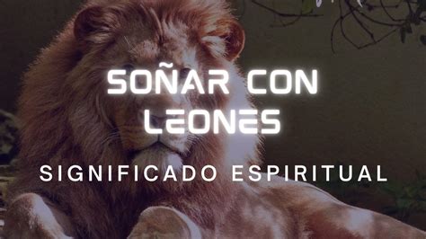 Qué Significa SOÑAR CON LEONES Significado Espiritual y