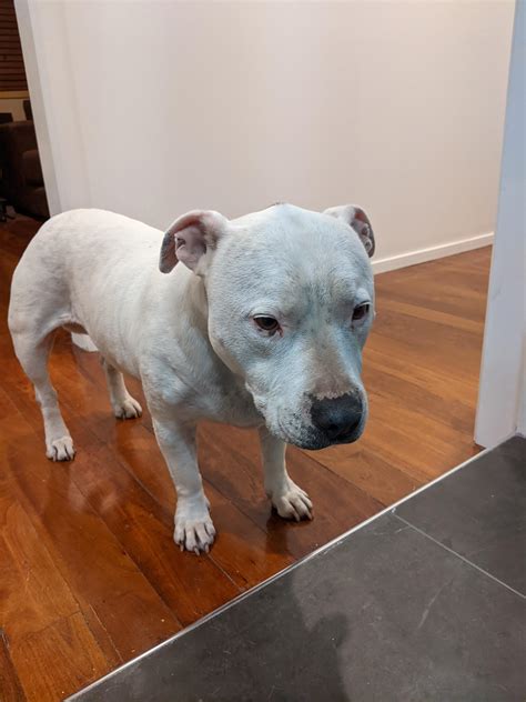 Best Hallway Images On Pholder Room Porn Liminal Space And Amateur Room Porn