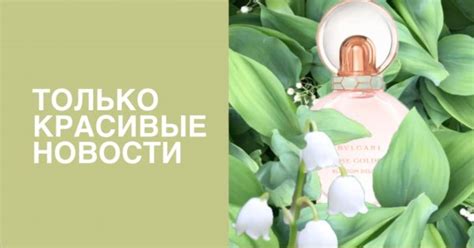 Духи с ландышем, пушистая кисть для пудры и другие бьюти-новинки недели ...