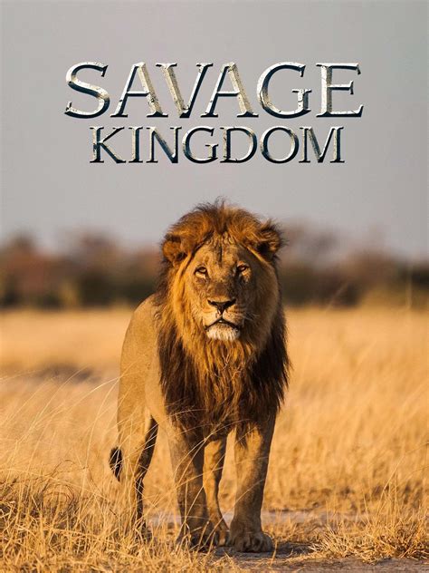 Savage Kingdom Season 1 | Rotten Tomatoes