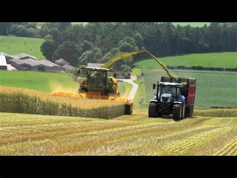 Whole Crop Rye Silaging With John Deere 8600i YouTube