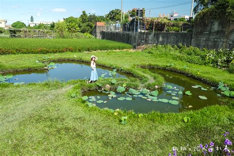 彰化大村景點彰化大村 雙心池塘平和社區農村樂活半日遊 桃桃s旅人手札