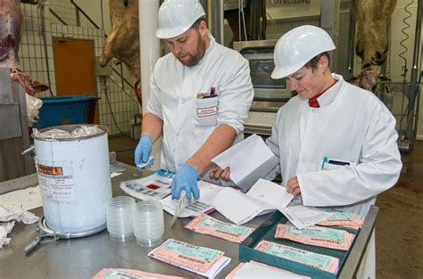 Rastreabilidade de carne bovina entenda a sua importância