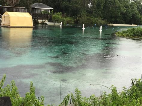 Weeki Wachee Springs State Park | Where Mermaids Come To Life