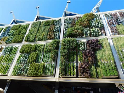 Jardines Verticales Una Soluci N De Adaptaci N Al Cambio Clim Tico