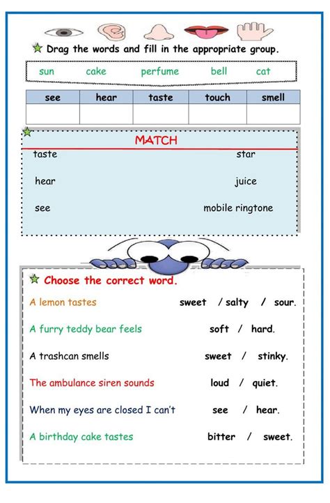 Five Senses Interactive Worksheet For Grade St Grade Worksheets