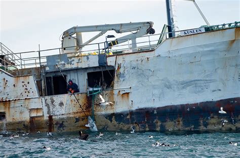 Spanish Operation Nets Suspects Behind Illegal Fishing