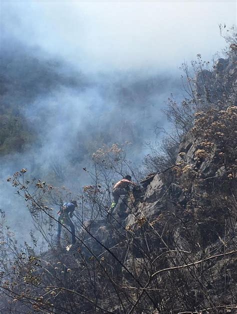 Reportan Pérdidas De 60 Hectáreas De Bosque Por Incendios Forestales En