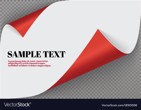 Page Curl With Shadow On A Blank Sheet Of Paper Vector Image