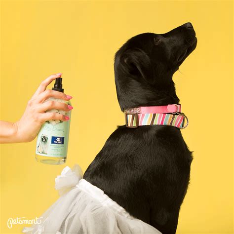 Must-Have Dog Grooming Supplies and Tools