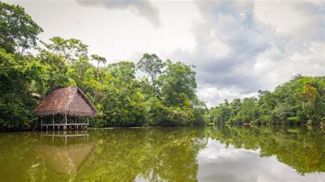 ¿cuál Es El Río Más Caudaloso Del Mundo