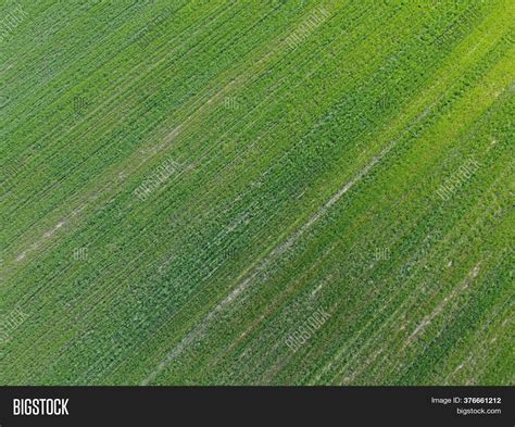 Green Agricultural Image And Photo Free Trial Bigstock