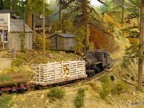 A Model Train Set Up In The Woods With Trees And Buildings On Each Side