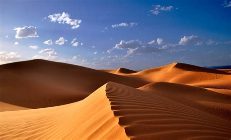 Descubre qué se puede ver en el Desierto del Sáhara Actualidad Viajes