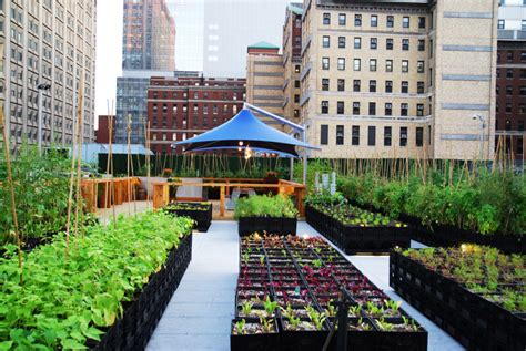 Cream Of The Crop 8 Architecture Firms Leading The Urban Farming