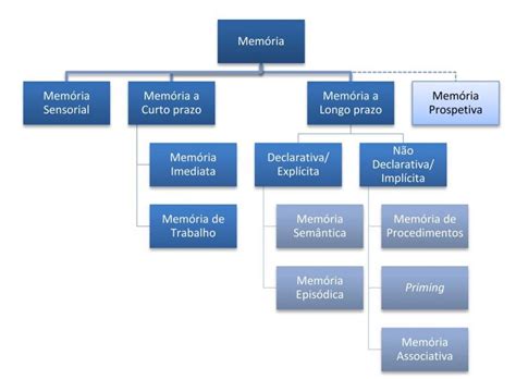 Memoria Em Psicologia - La Memoria: Sus Fases, Tipos, Clasificación, Estructuras Y Trastornos ...
