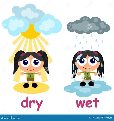 Wet and dry stock vector. Image of educate, colorful - 17666230