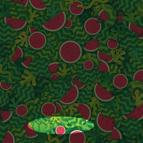 Can You Find the Hidden Objects in These Pictures?