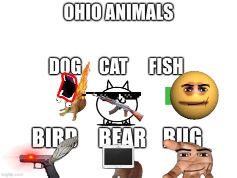 Ohio Imgflip