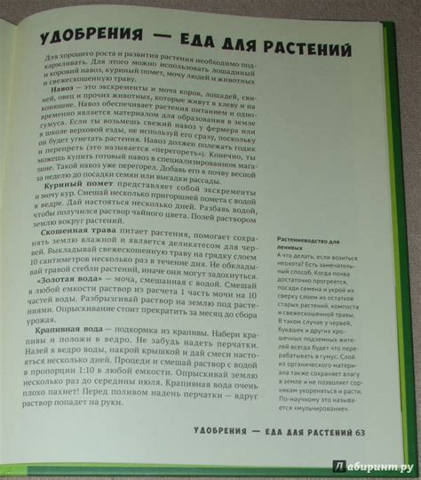 Книга: Мой первый огород. Посей, собери, съешь - Линде, Сандгрен ...