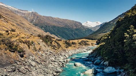 Hiking the Rob Roy Glacier Track | tobinka