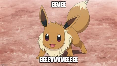 Eevee Cutness Imgflip