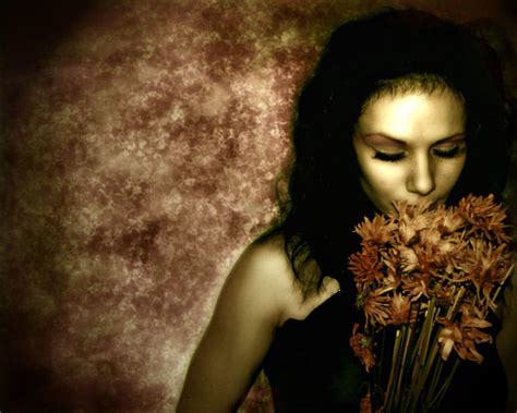 Dead Flowers By Monarchflutterfly On Deviantart