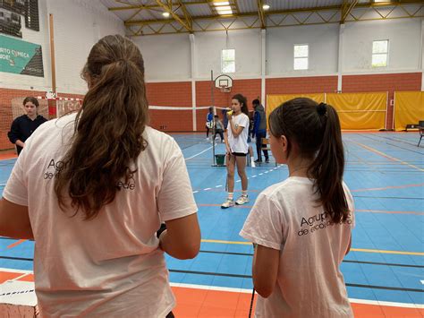 Cascais Minton Torneio Concelhio De Badminton Agrupamento De