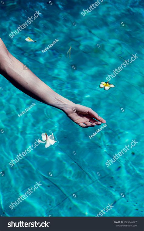 Sexy Girl Bikini Swimming Pool Bali Stock Photo Shutterstock