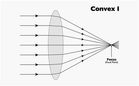 Simple Convex Lens Diagram , Free Transparent Clipart - ClipartKey