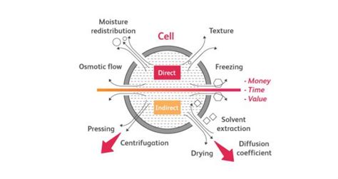 Pulsed Electric Field Pef The Potential In Food Processing