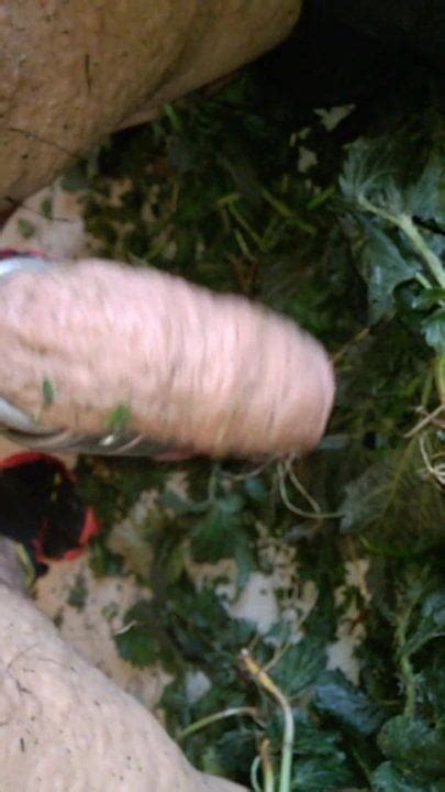 Nach Hardcore Brennnesseln Spaß xHamster