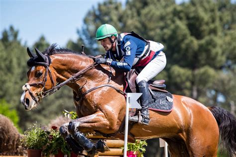 Le Haras Des Coudrettes Les Chevaux De Sport