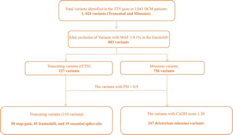 Flowchart depicting approach to identification of the pathogenic... | Download Scientific Diagram