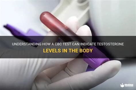 Understanding How A Cbc Test Can Indicate Testosterone Levels In The Body Medshun