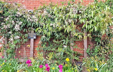 Kenilworth Books🌱🌺🌻🦔 On Twitter As It Is A Rainy Sad Sort Of Day