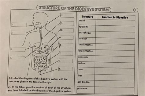 Solved Structure Of The Digestive System 12 Structure