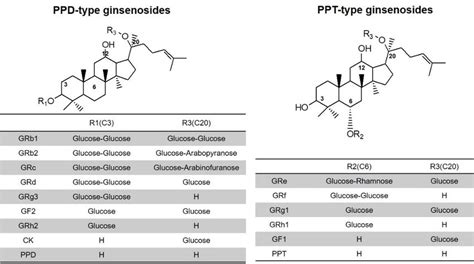 Structure Of S Protopanaxadiol And S Protopanaxatriol Type