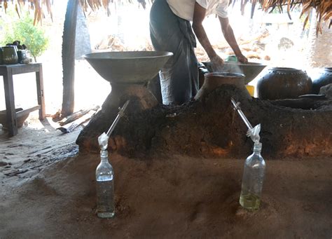 Making Palm Wine in Burma | Distilling Hard Liquor from Palm Tree