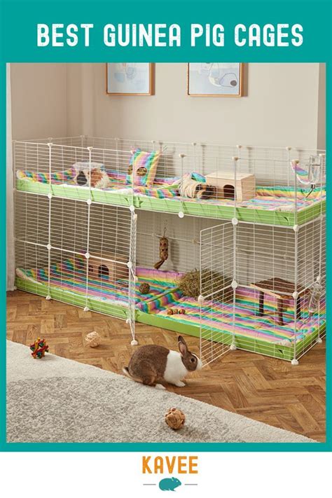 Best Guinea Pig Cages Artofit