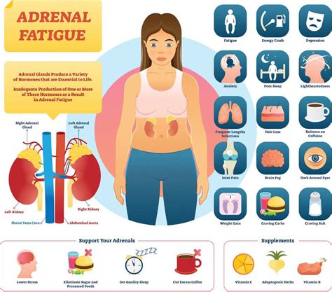 Nutrition Support For Adrenal Fatigue: EP Chiropractic and Functional Medicine Clinic