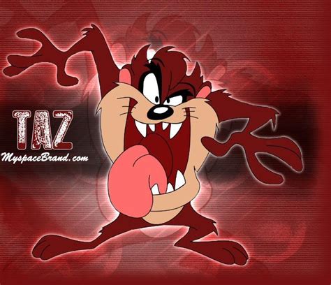 Looney Tunes Taz Wallpaper