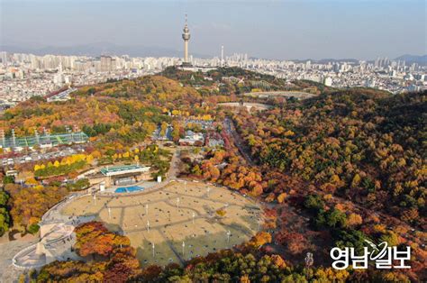 포토뉴스 대구 두류공원의 늦가을 정취 영남일보 사람과 지역의 가치를 생각합니다