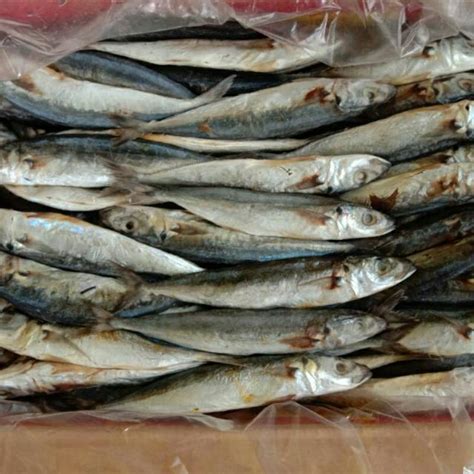 Jual Ikan Peda Asin Putih 500 Gram Shopee Indonesia