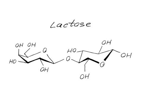 Chemical Formula For Lactose Stock Photos, Pictures & Royalty-Free ...