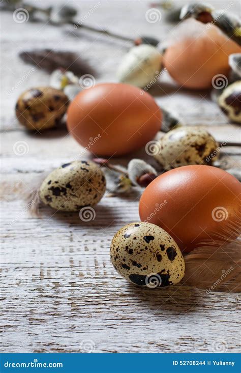 Chicken And Quail Eggs With Willows Stock Photo Image Of Decoration