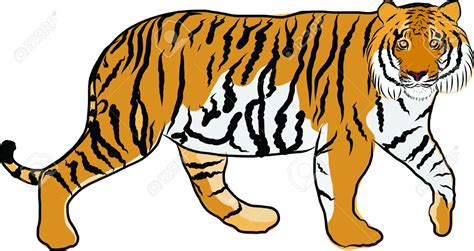 Free Tiger Clipart Free Download On Clipartmag